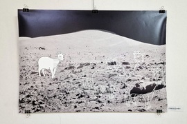 Монтана - изложба - дигитална графика