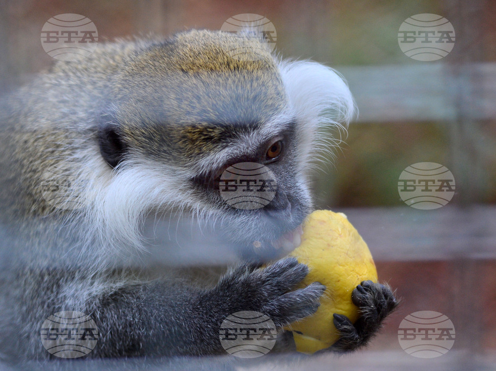 Разград - зоопарк - нови обитатели