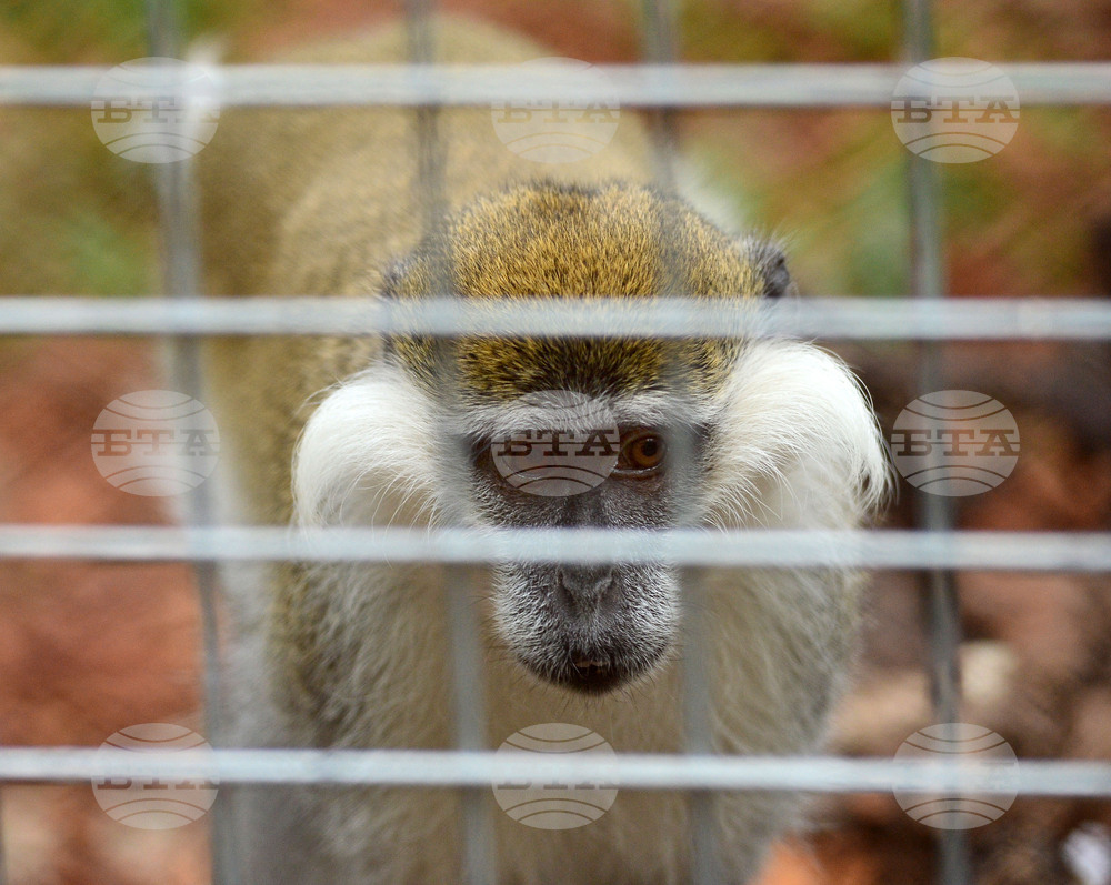 Разград - зоопарк - нови обитатели