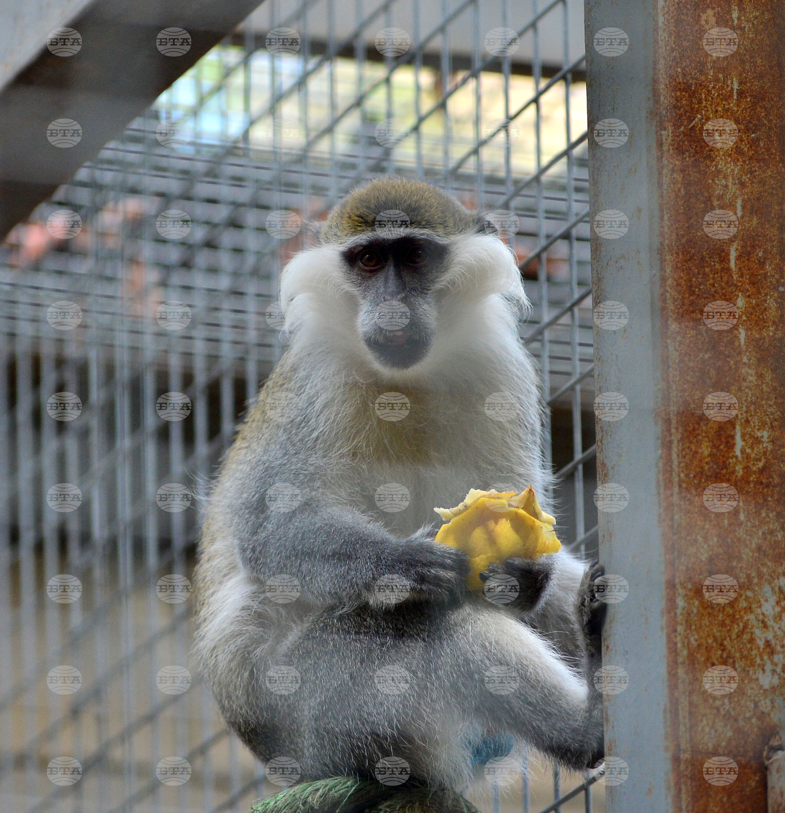 Разград - зоопарк - нови обитатели