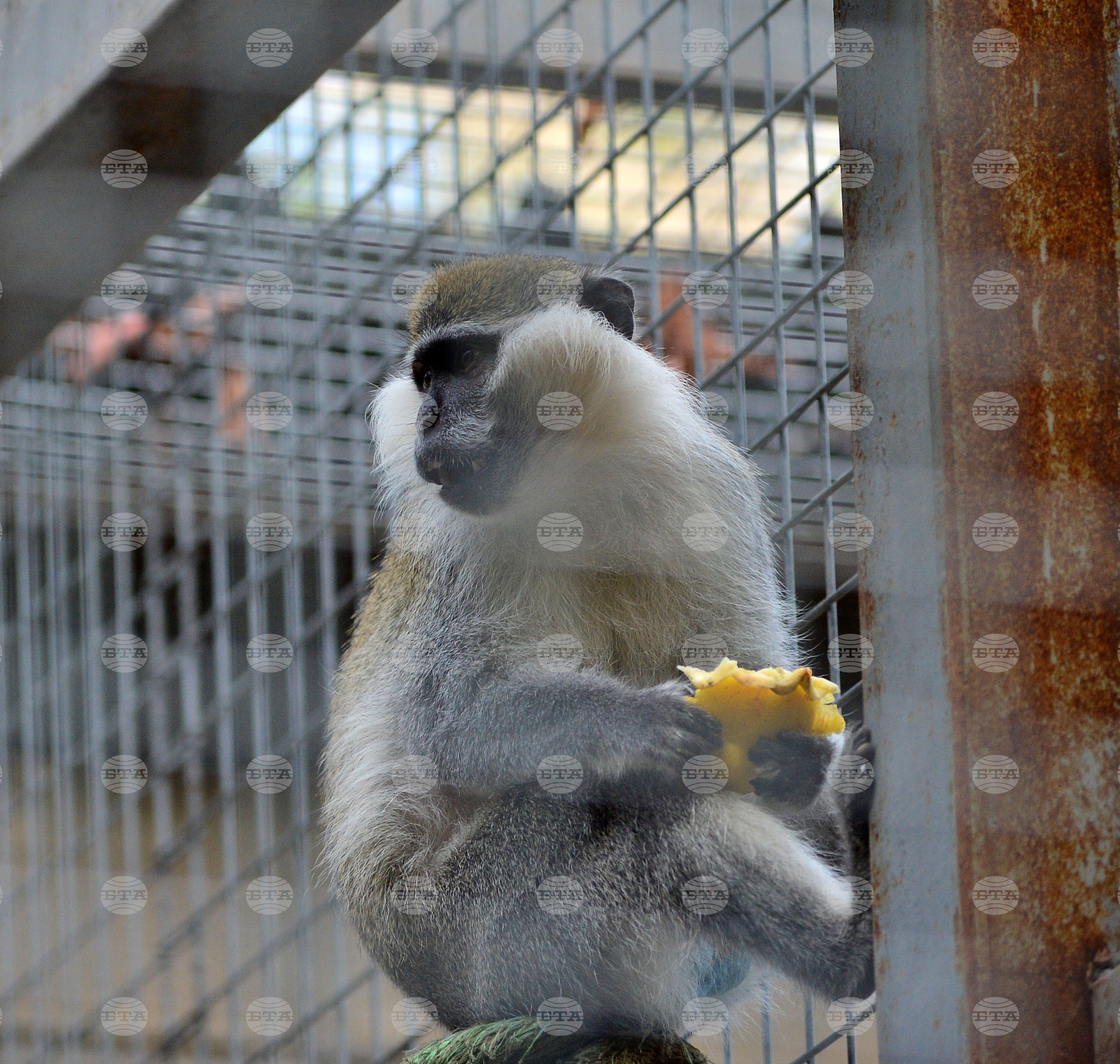 Разград - зоопарк - нови обитатели