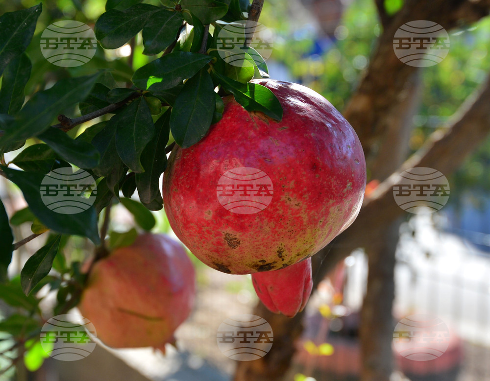 Исперих - нар