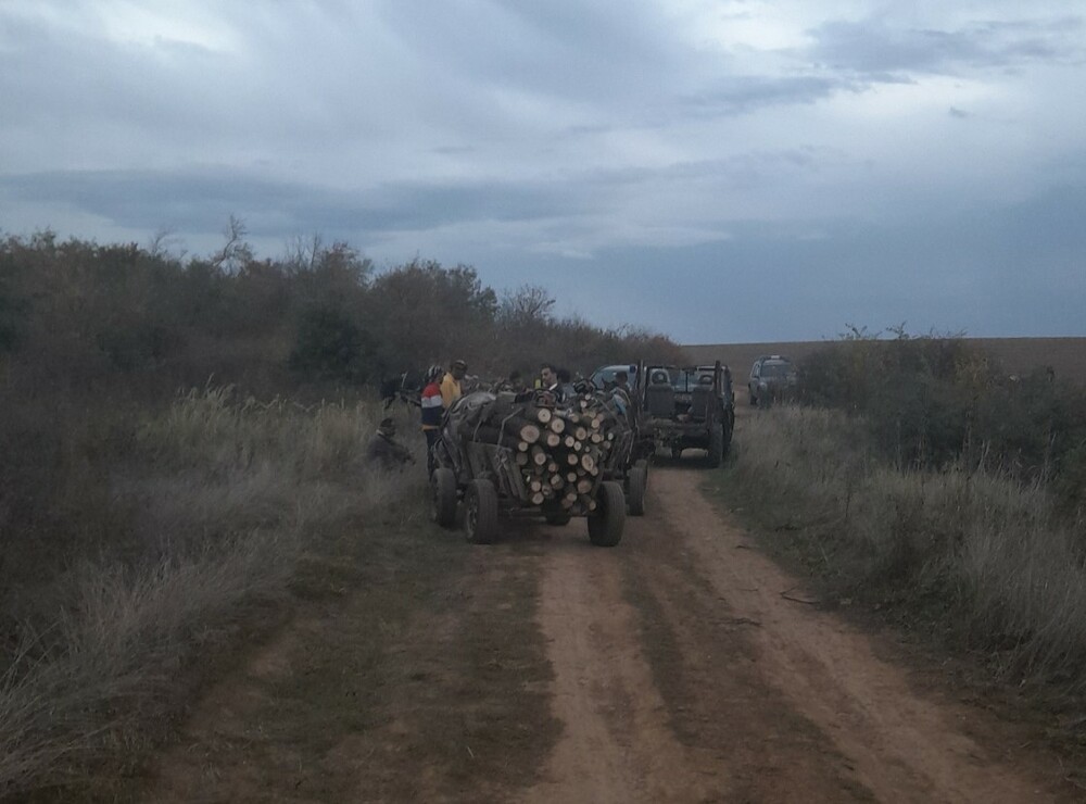 Агресия срещу горски служител по време на среднощна гонка в община Червен бряг