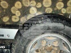 Агресия срещу горски служител по време на среднощна гонка в община Червен бряг