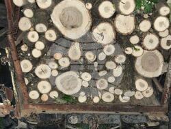 Агресия срещу горски служител по време на среднощна гонка в община Червен бряг