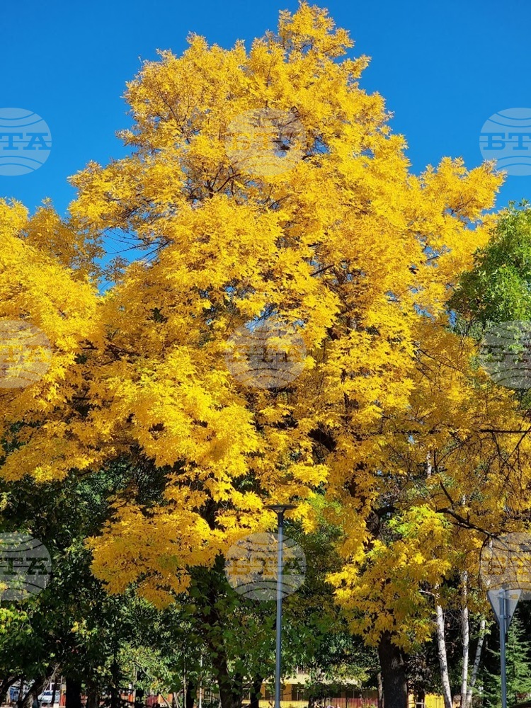 The Weather on Oct. 6