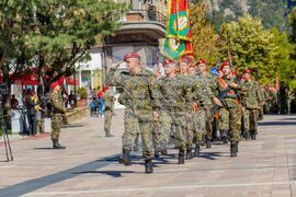 Карлово - 61-а Стрямска механизирана бригада - годишнина