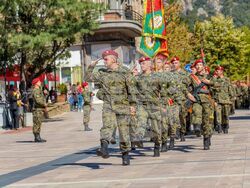 Карлово - 61-а Стрямска механизирана бригада - годишнина