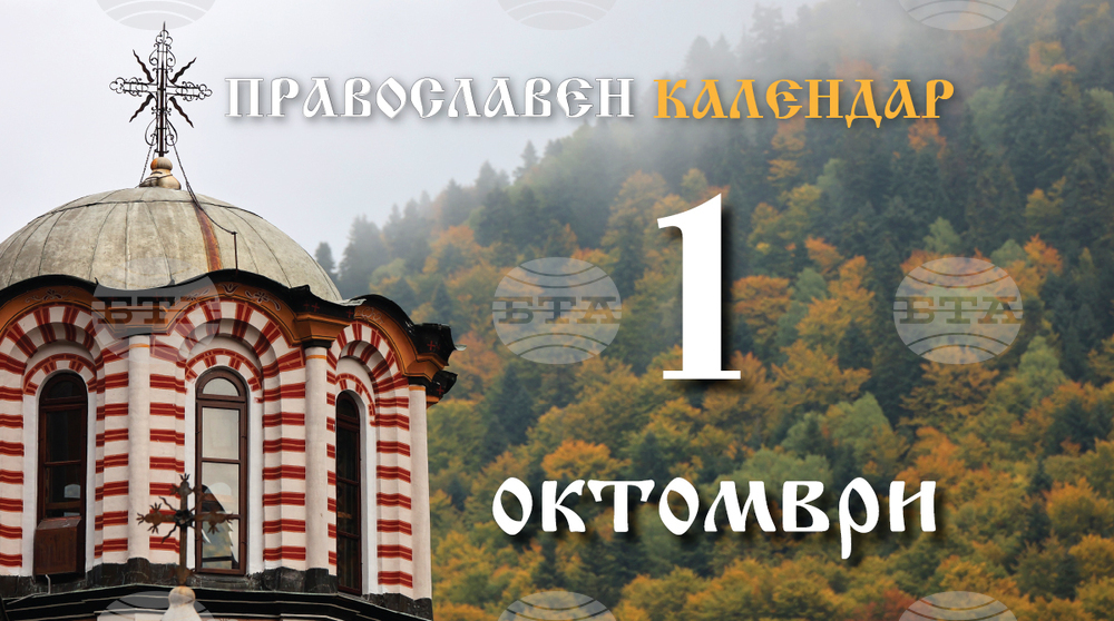 Снимка