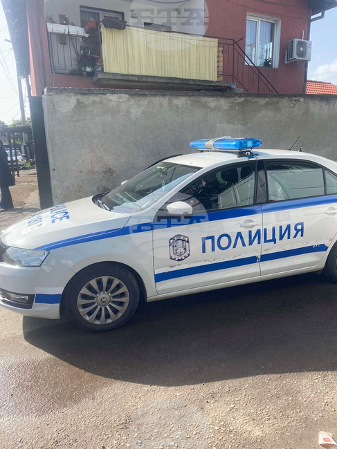 Столичната полиция е реагирала на сигнал за сбиване в квартал "Христо Ботев", има задържани