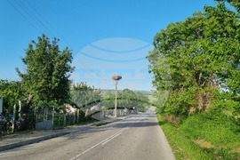 Село Угледно - щъркели - природа