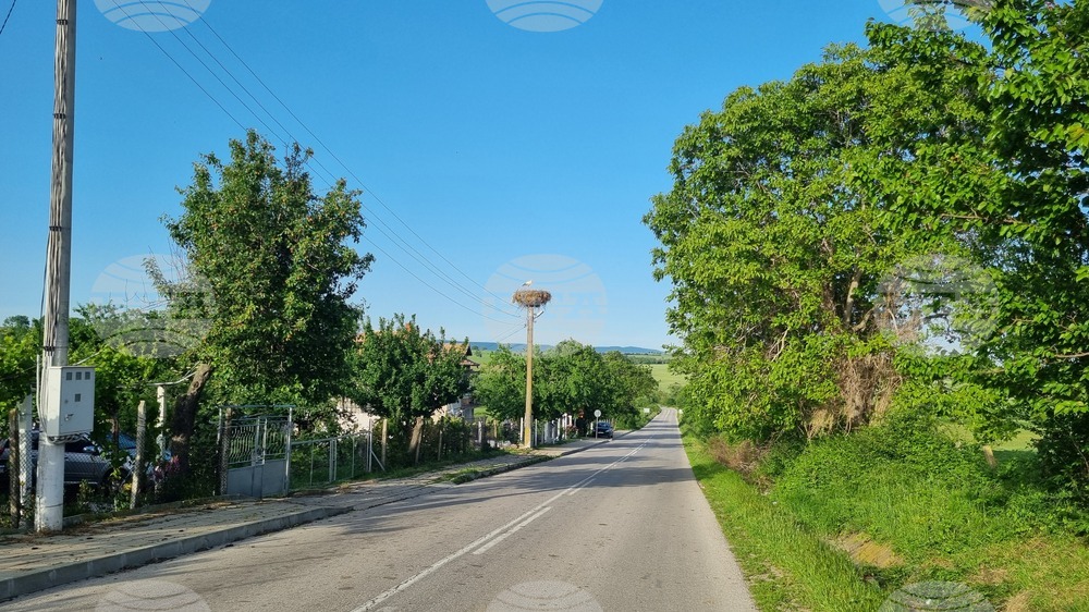 Село Угледно - щъркели - природа