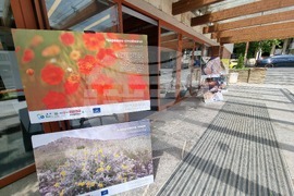 Сливен - фотоизложба - биоразнообразие