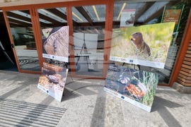 Сливен - фотоизложба - биоразнообразие