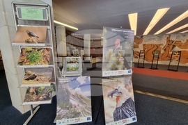 Сливен - фотоизложба - биоразнообразие