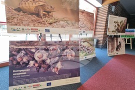 Сливен - фотоизложба - биоразнообразие