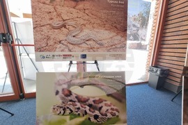 Сливен - фотоизложба - биоразнообразие