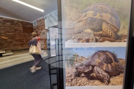 Сливен - фотоизложба - биоразнообразие