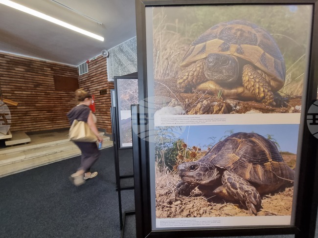 Сливен - фотоизложба - биоразнообразие