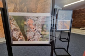 Сливен - фотоизложба - биоразнообразие