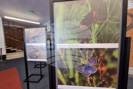 Сливен - фотоизложба - биоразнообразие