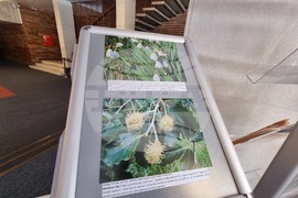 Сливен - фотоизложба - биоразнообразие