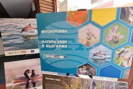 Сливен - фотоизложба - биоразнообразие
