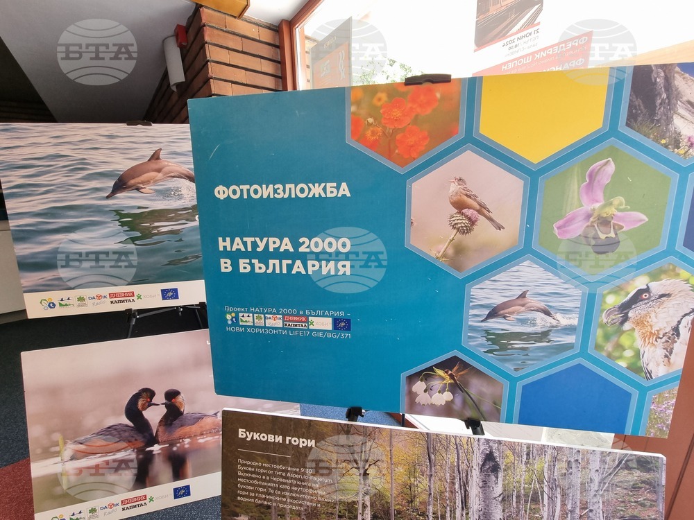 Сливен - фотоизложба - биоразнообразие