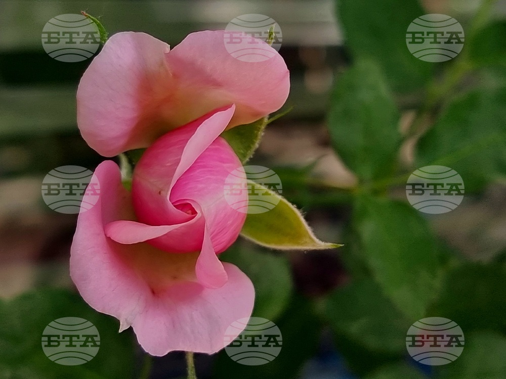 Топло време в столицата