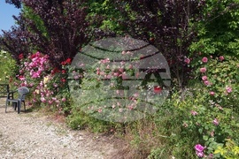 Плевен - ферма за водни лилии - ботаническа градина