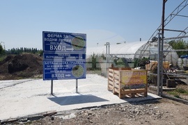 Плевен - ферма за водни лилии - ботаническа градина