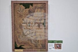 Бургас - "Следи от изчезване" - изложба