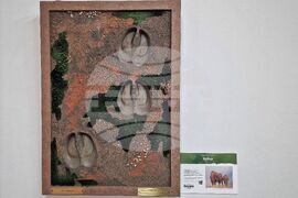 Бургас - "Следи от изчезване" - изложба