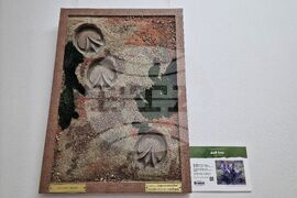 Бургас - "Следи от изчезване" - изложба