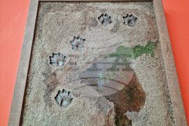 Бургас - "Следи от изчезване" - изложба