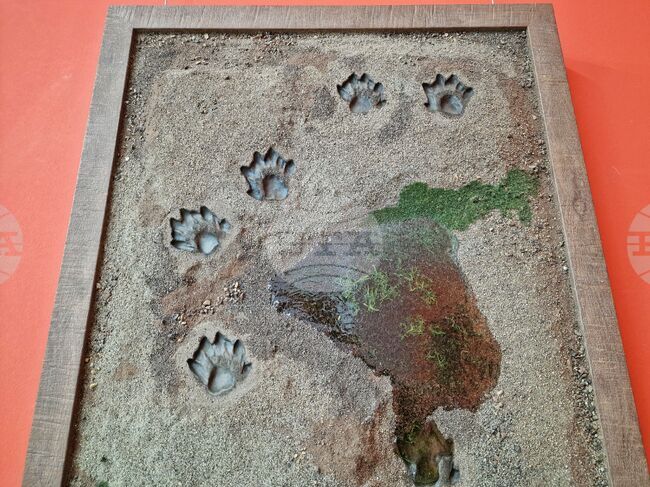 Бургас - "Следи от изчезване" - изложба