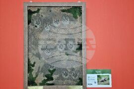 Бургас - "Следи от изчезване" - изложба