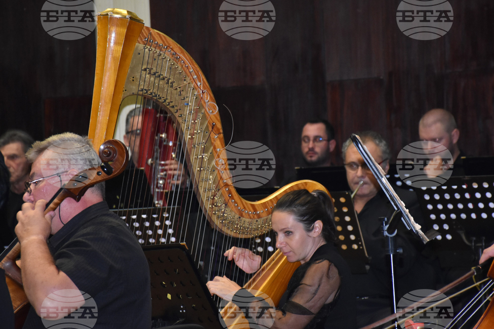 Видин - концерти - съвместен българо-румънски оркестър