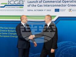 Снимка: Президентство - церемонията по официалното въвеждане в експлоатация на междусистемната газова връзка Гърция-България