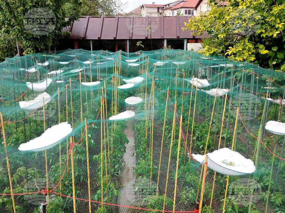 Земеделските стопани могат да подават заявления за плащане по интервенцията за застраховане на реколтата до 15 август, включително, съобщиха от ДФЗ 