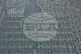 Дъждовно време