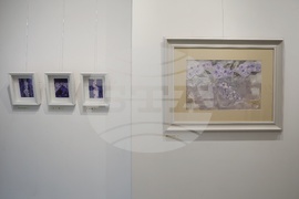 Галерия Vejdi - Вежди Рашидов - изложба акварели