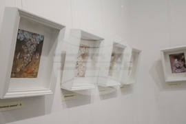 Галерия Vejdi - Вежди Рашидов - изложба акварели