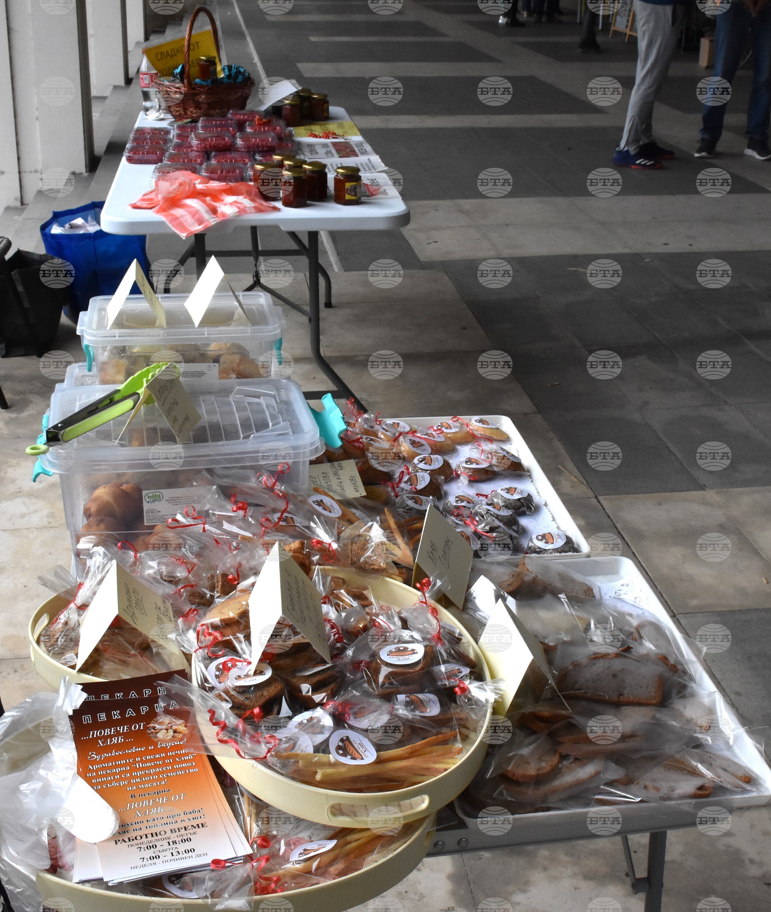 Видин - фестивал "Здравей, Здраве!"