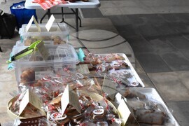 Видин - фестивал "Здравей, Здраве!"