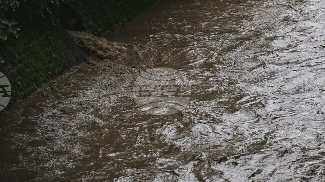 Замърсяване на две реки в Северозападна Румъния с отпадъчни води 