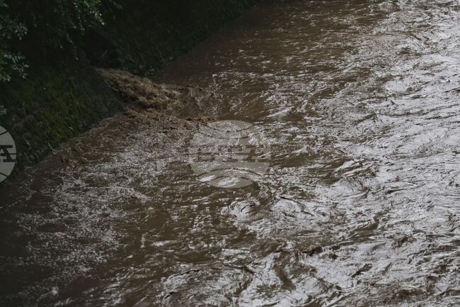 Замърсяване на две реки в Северозападна Румъния с отпадъчни води 