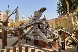 Египет - Кайро - Дървото на Дева Мария