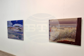 Плевен - Долорес Дилова - изложба