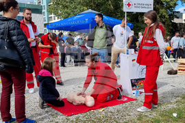Босна и Херцеговина - предизборна обстановка